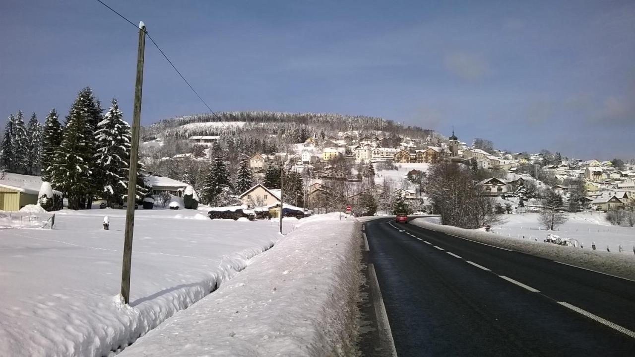 לה טולי Studio D'Hotes A 10 Km De Gerardmer מראה חיצוני תמונה