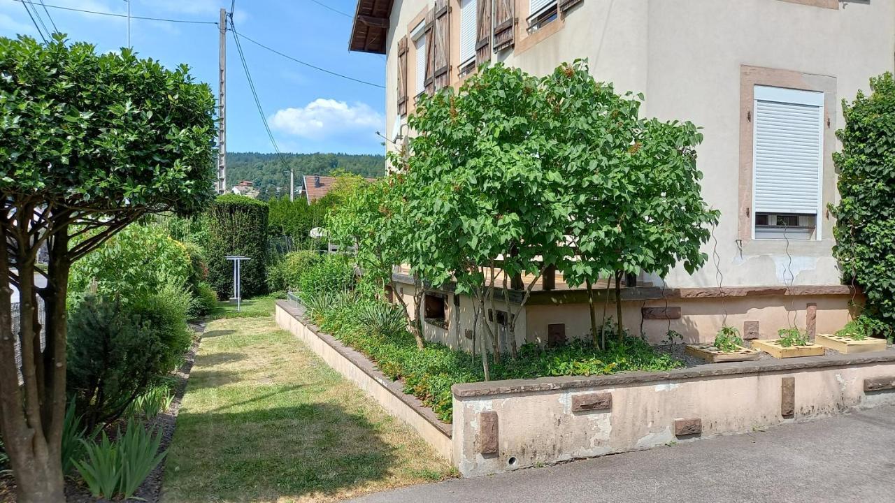 לה טולי Studio D'Hotes A 10 Km De Gerardmer מראה חיצוני תמונה